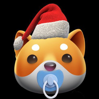 Santa BabyDoge 🌲🧑‍🎄