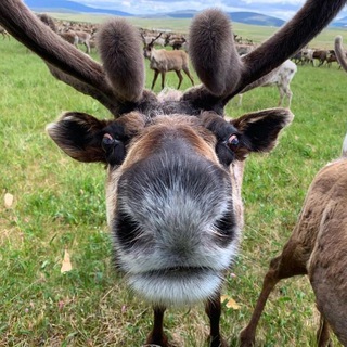 Сарказмы из жизни