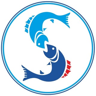 Компания «Сарсенбаев»