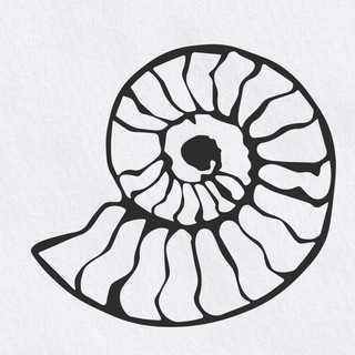 Усадьба АММОНИТ виноградники и виноделие в Саратове