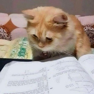 Иду к 300б за ЕГЭ 26