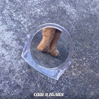 Саш я голая