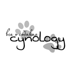 Истины кинологии🐾
