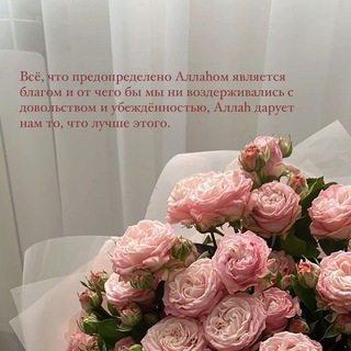 𝑚𝑒𝑟𝑧𝑎 𝑑𝑜𝑠ℎ.🤍