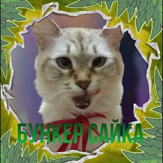 "Бункер сайка" промокоды на стенд чилов