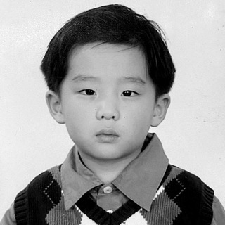 кошачий приют