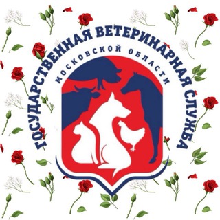 СББЖ Ногинск и Электросталь 🐾