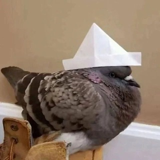 sᴄᴀʟʟʏ ᴍᴏᴅsᴢ | ʍодиɸиᴋᴀции ʙʟᴀᴄᴋ ʀᴜssɪᴀ