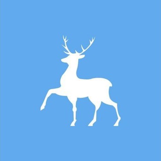 💥НАША ШКОЛА💥 (МБОУ СШ 19 с УИОП)