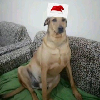 Трупопоедальня