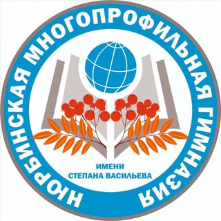 МБОУ «Нюрбинская многопрофильная гимназия им. Степана Васильева»