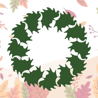 Школа № 37 г. Вологды🍁