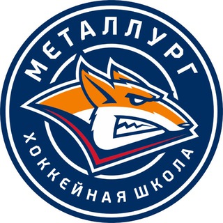 Хоккейная школа «Металлург»