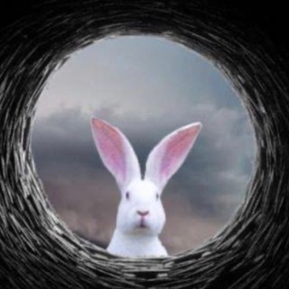 СЛЕДУЙ ЗА БЕЛЫМ КРОЛИКОМ◾️