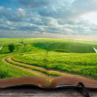 Школа жизни: психология отношений и развития