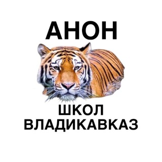 Анонка Владикавказ