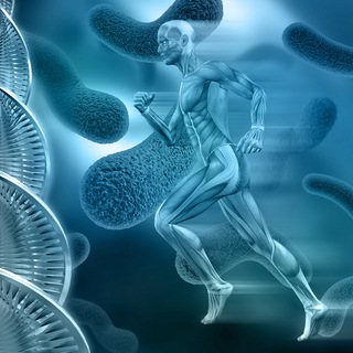 Научные исследования: human wellbeing