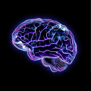 Дмитрий Бачин | ScilinkX Физиология