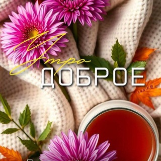 Картинки и видео-Доброе утро🔥 Красота в глазах смотрящего 😍