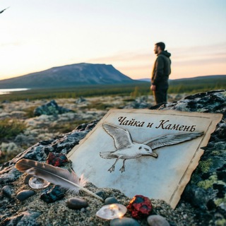 Чайка и Камень