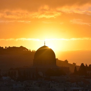 Сектор Газа