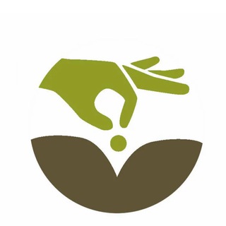 ЦветОК|Flower 🌱