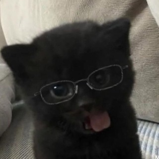 𝙨𝙚𝙚𝙩𝙘𝙝