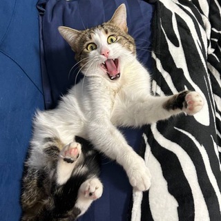 Секонд во👍