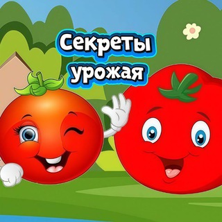 Секреты урожая 🌾