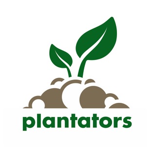 Plantators Official