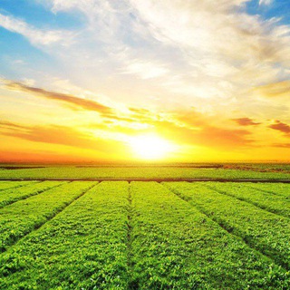 СЕЛЬХОЗПОРТАЛ