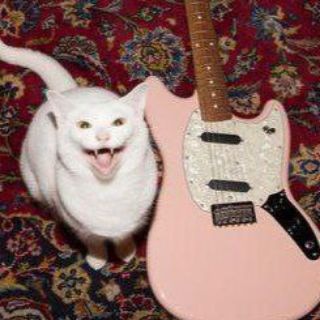 Муз. Банда🎸🎧🤘