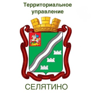 Чат с жителями Селятино