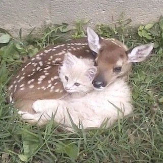 работа для подростков | фриланс | перевод текстов