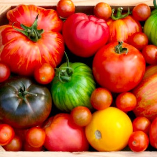 СЕМЕНА Красивого Сада