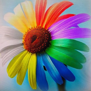 ꧁Семицветик DV😊 ꧂