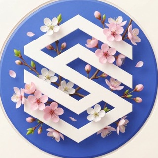 SENAT CARS - Авто из Кореи, Японии и Китая