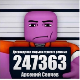 🎥 senchous confessions