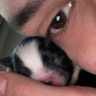 Сендом болтает