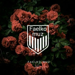 F A E L K O _ CH A T🗽