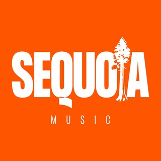 Sequoia Music | Продвижение артистов