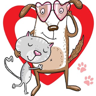 Анапа❗️Помощь бездомным животным ❤ Сердцем к сердцу ❤