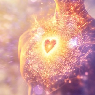 АМБАССАДОРЫ ЖИЗНИ