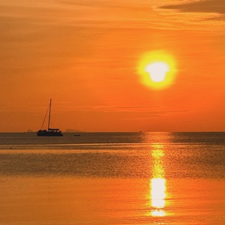 Сергей Булаев 😎🐊🦩