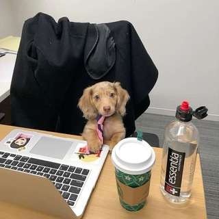 Сертификация.PRO