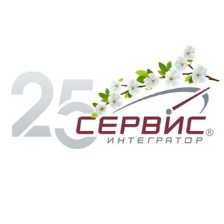 СЕРВИС-ИНТЕГРАТОР