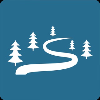 Сестрорецкая лыжня