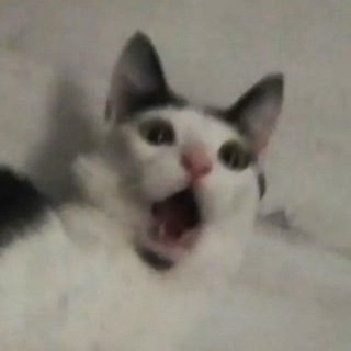 Дед фотоСетор