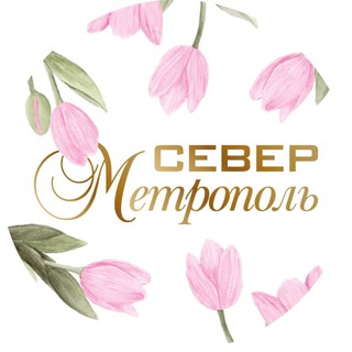 Север-Метрополь г.Владимир