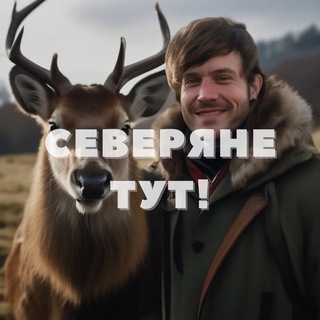 СеверВайб
